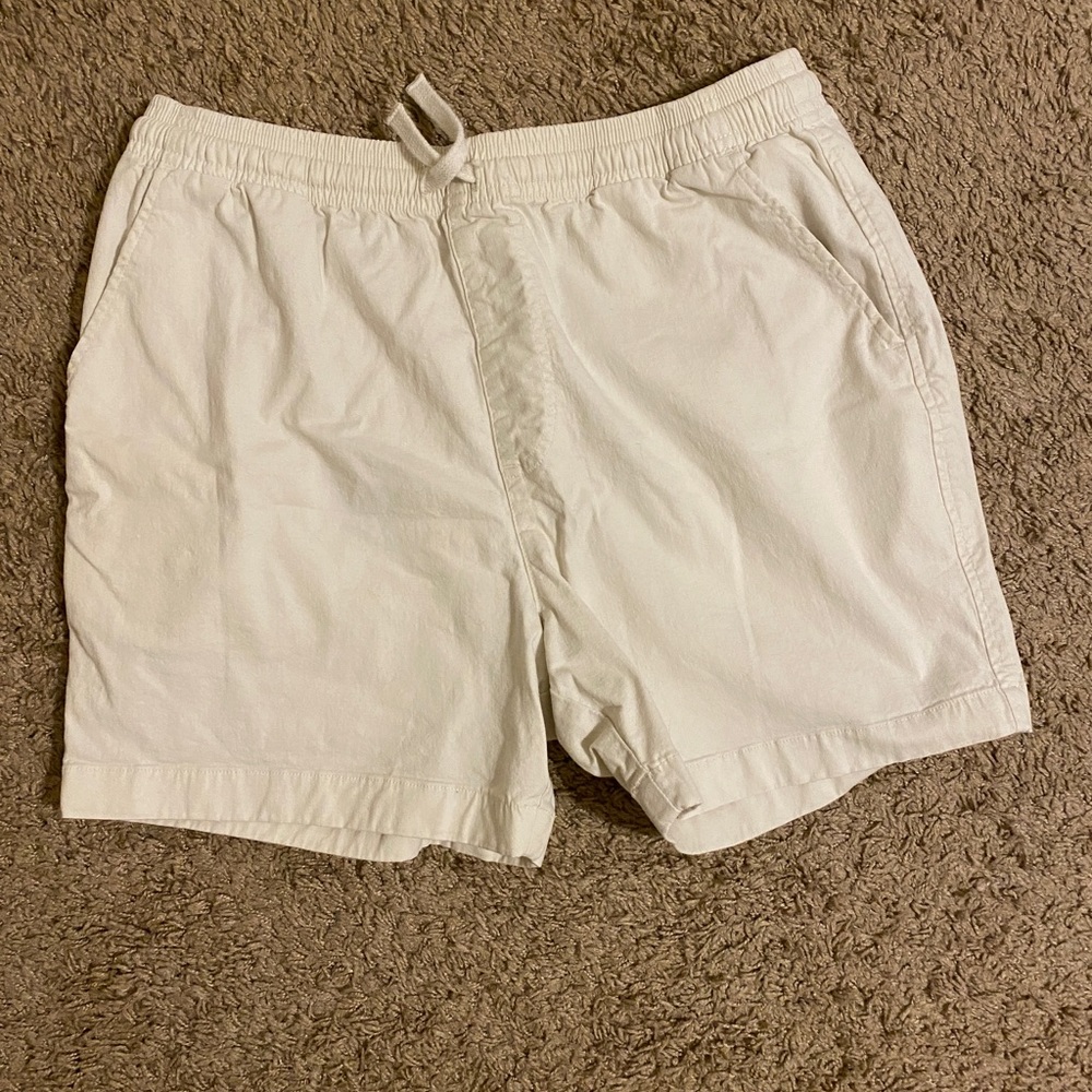 Men’s Chubbies 5.5 inseam shorts